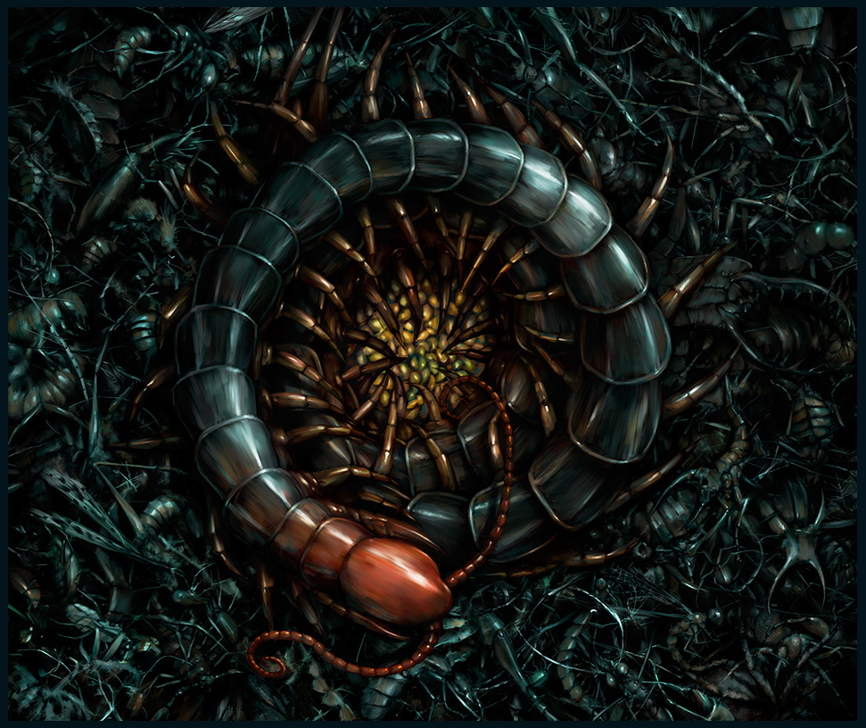 Salsa Invertebraxa - Queen Centipette